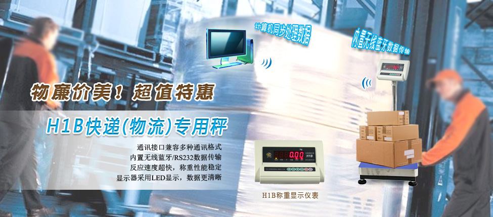 TCS-H1B�{(l��n)������_��